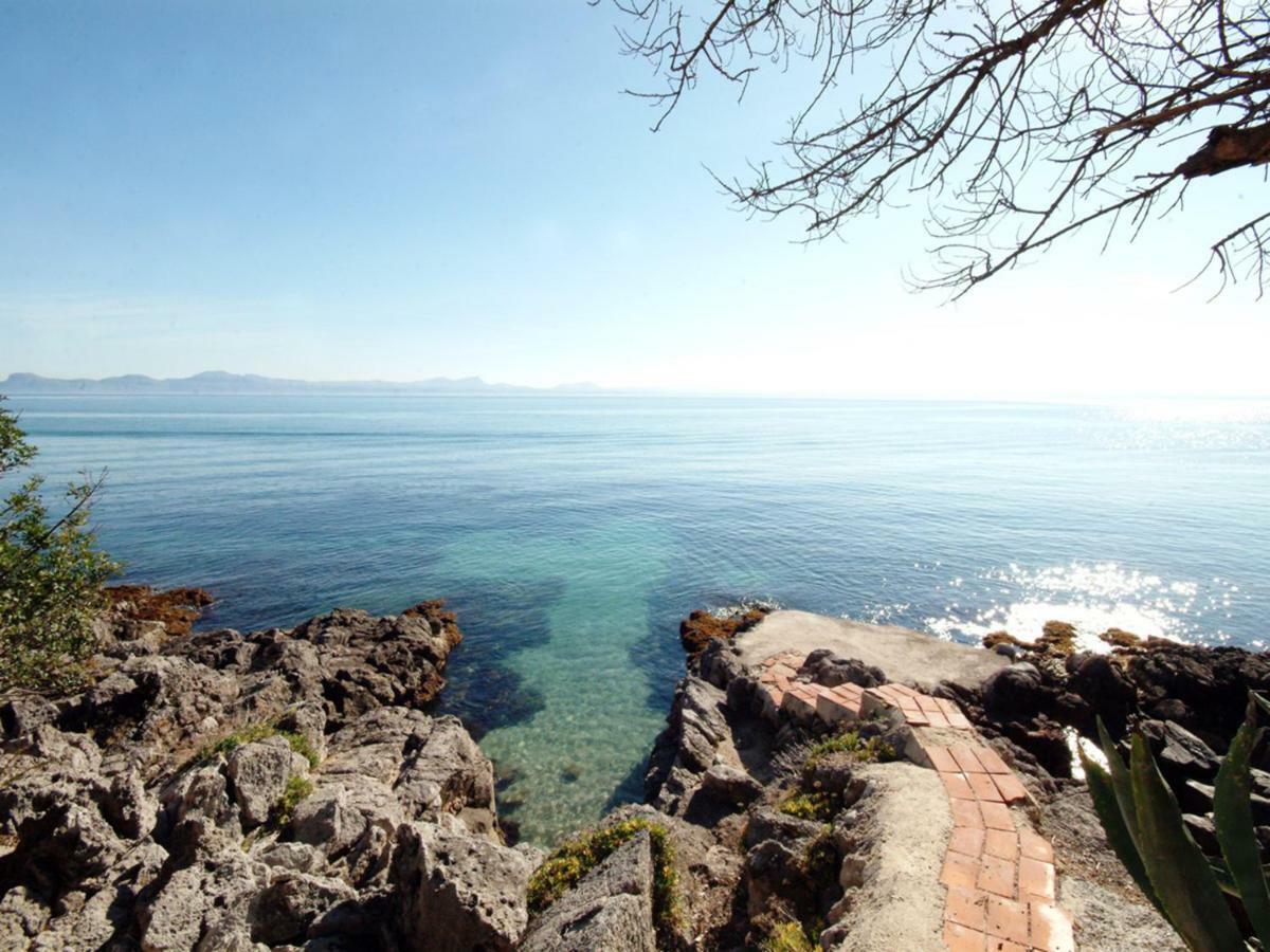 Alcanada Torre Mayor, Solo 50 Metros Del Mar Alcudia  Dış mekan fotoğraf